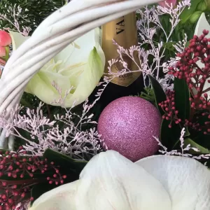 ���������� ���������� � �����������