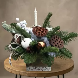 ������ ���