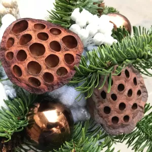 ������ ���