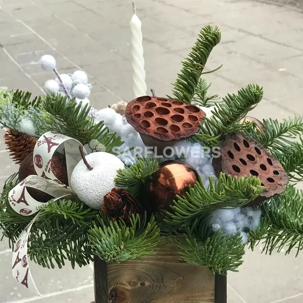 ������ ���