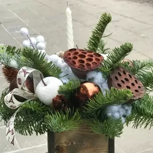 ������ ���