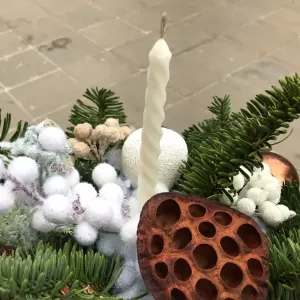 ������ ���