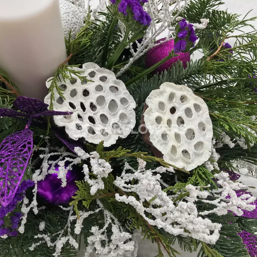 �������� �����