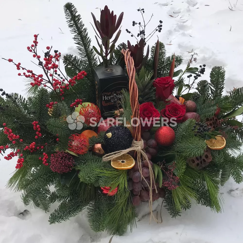 ���������� � ���� ����