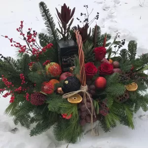 ���������� � ���� ����