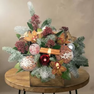 ������ ������