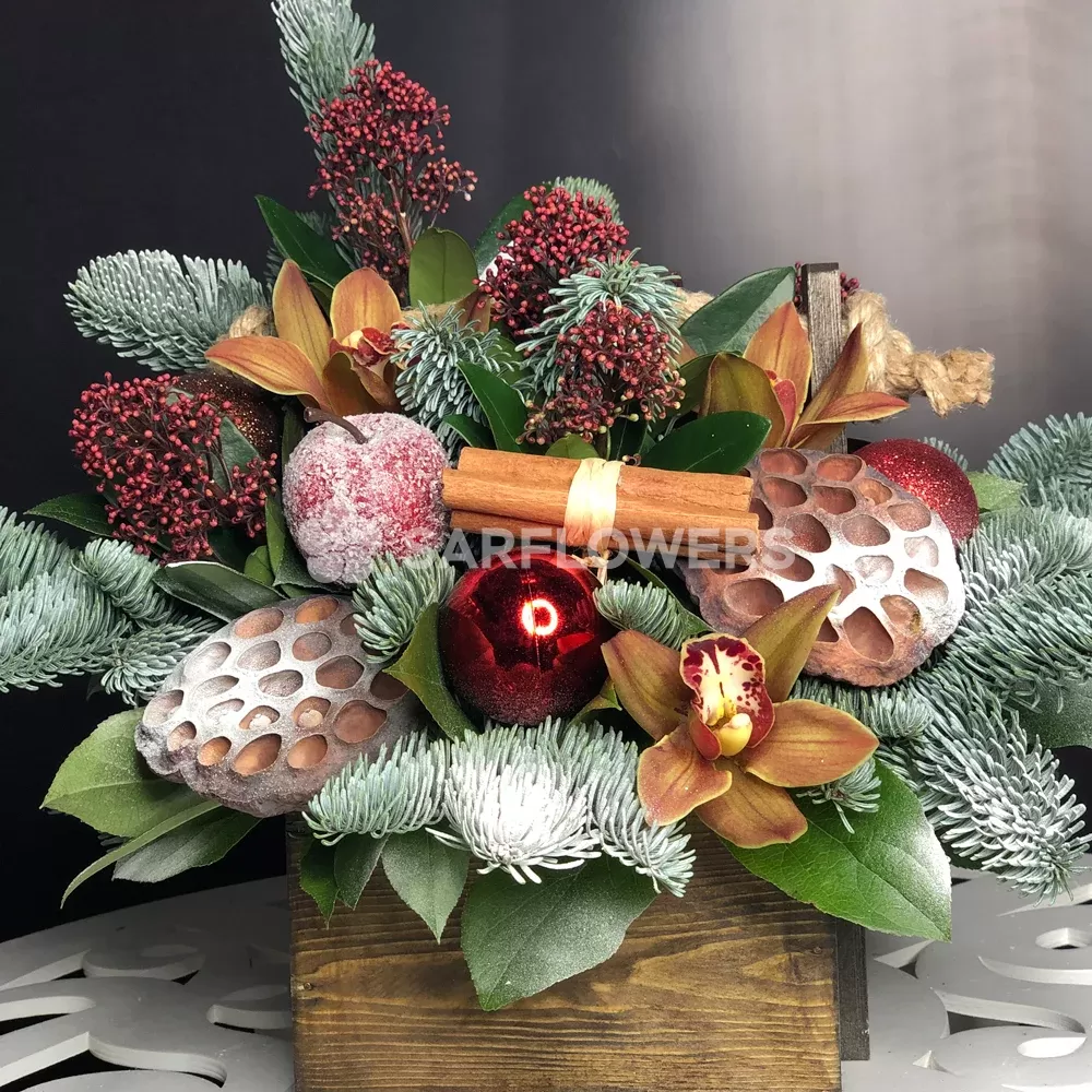 ������ ������