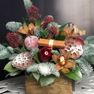 ������ ������