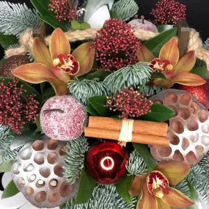 ������ ������