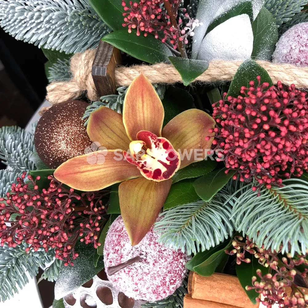 ������ ������