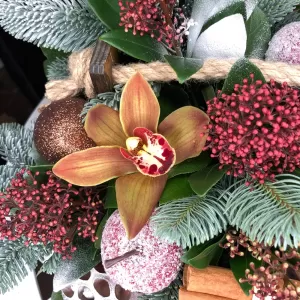 ������ ������