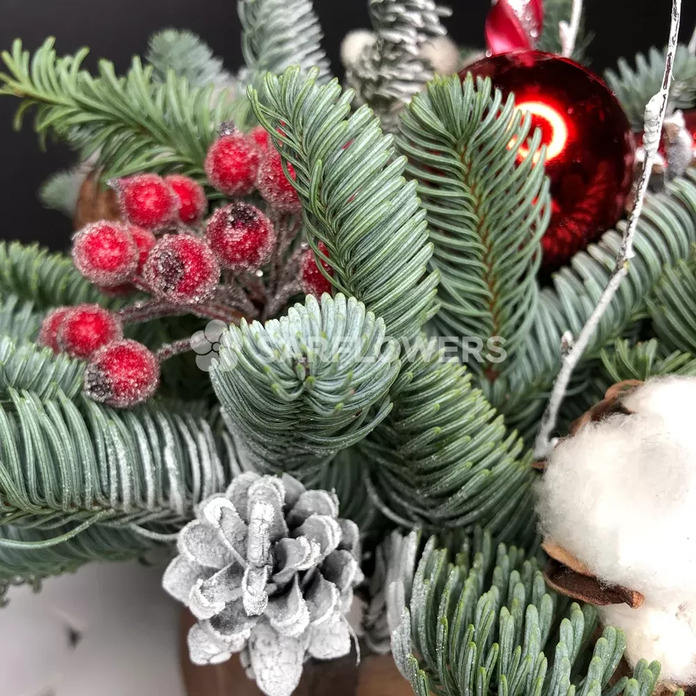 ���������� ���������� 338