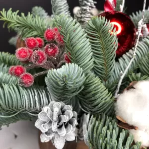 ���������� ���������� 338