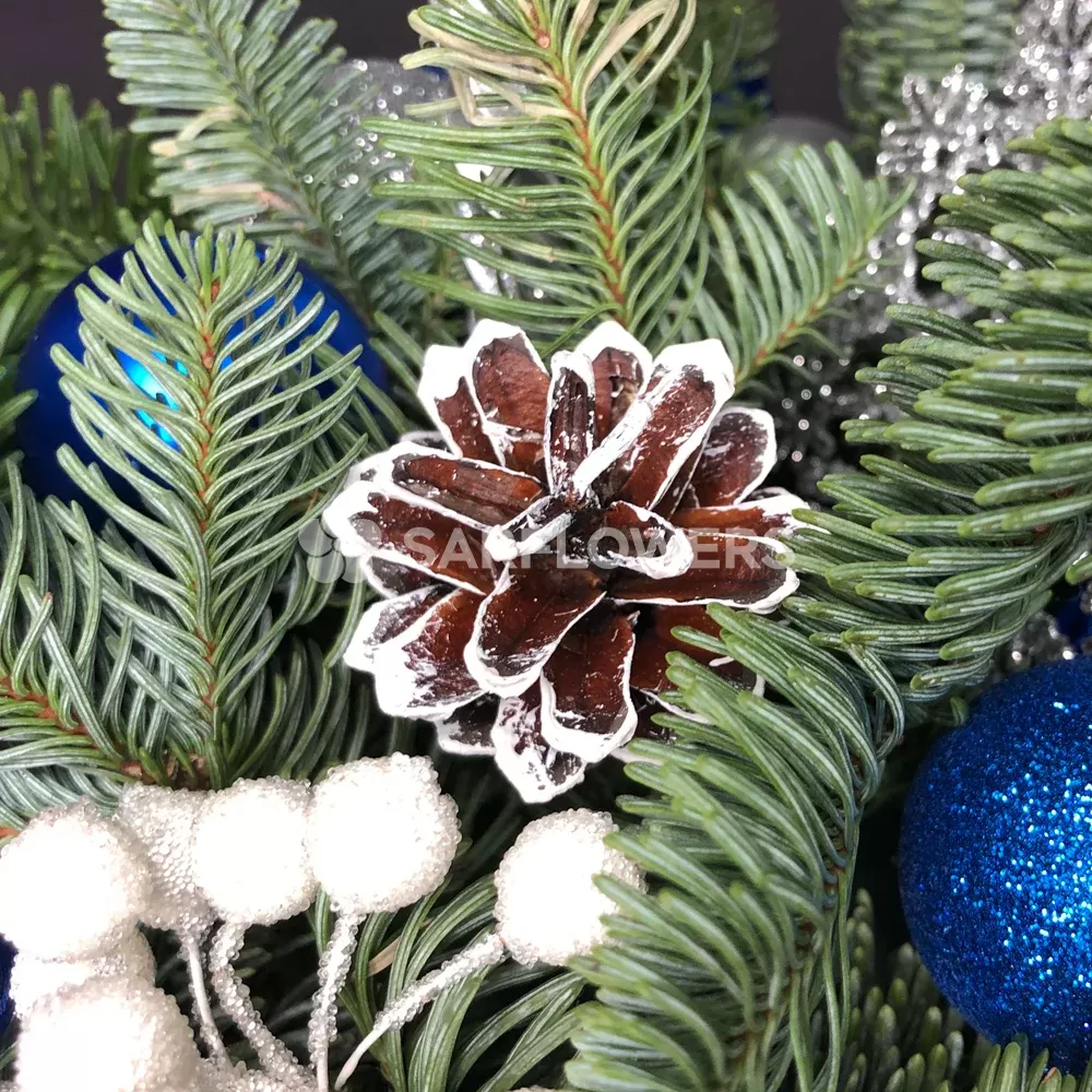 ���������� ���������� 342