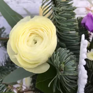 ���������� ���������� 343