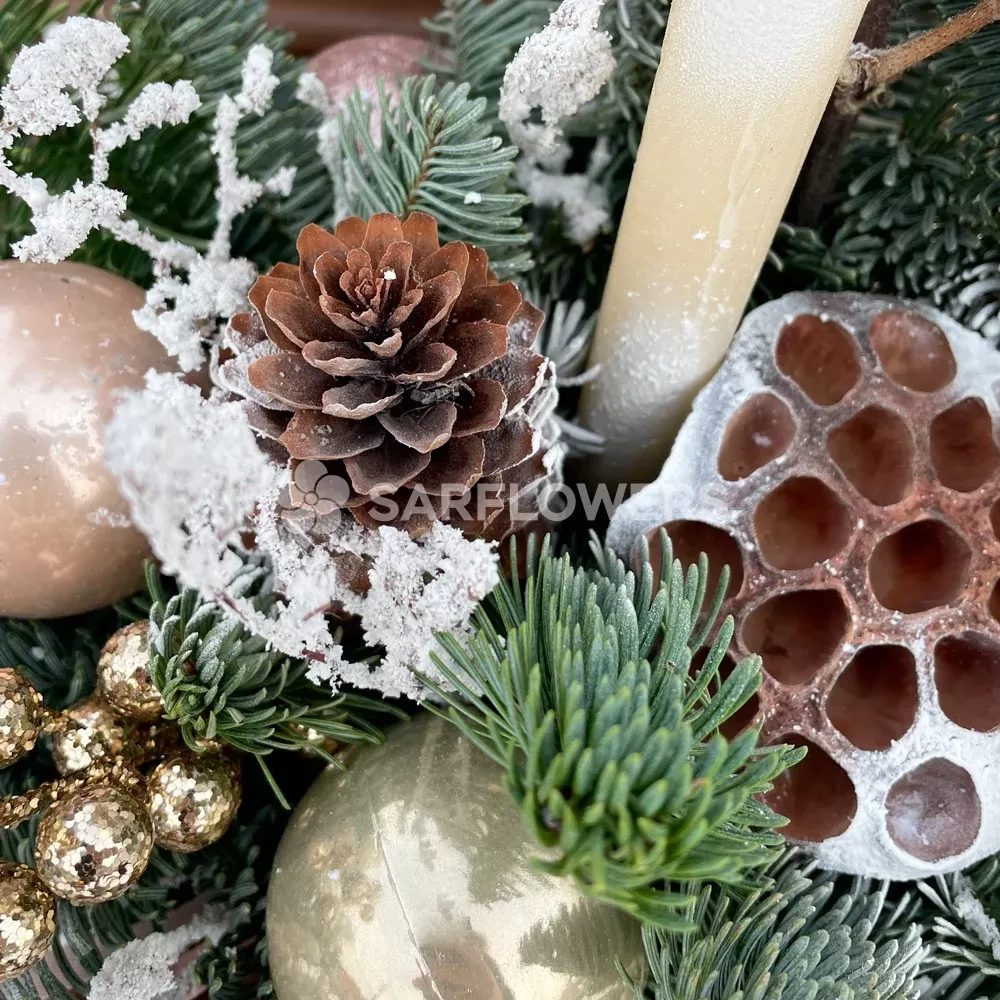 ������ �������