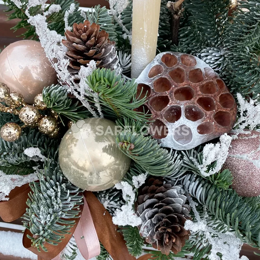 ������ �������