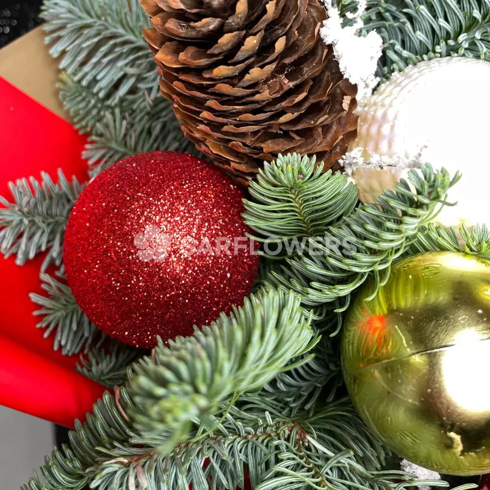 ����� ���������� �����