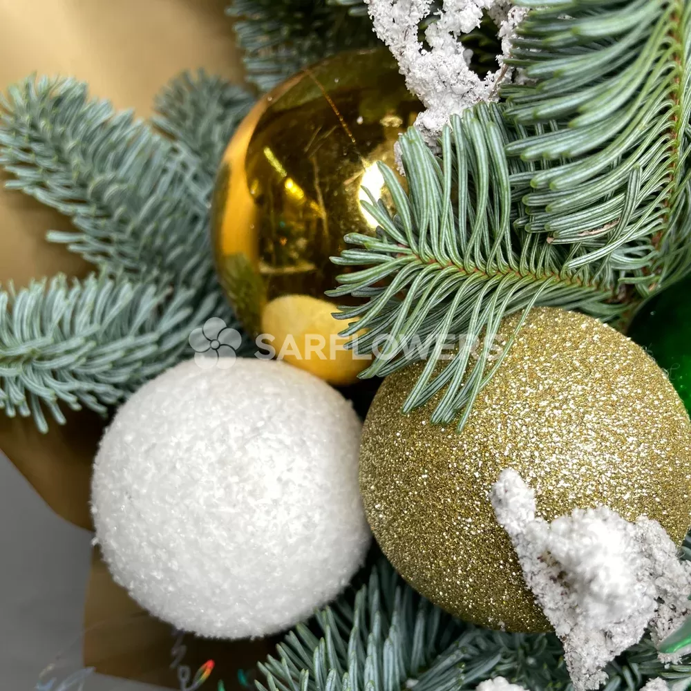 ����� ����������