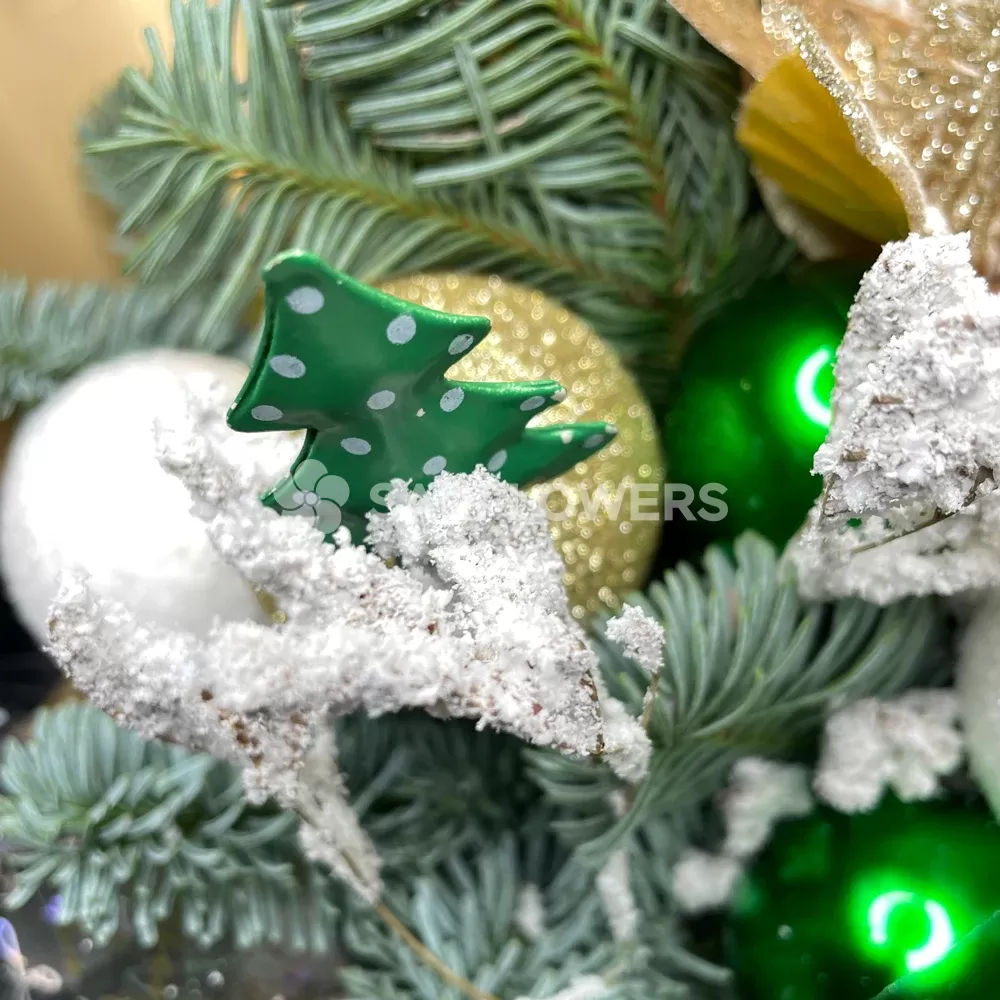 ����� ����������