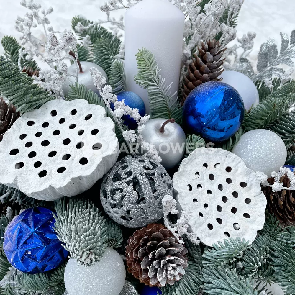 ������� ����