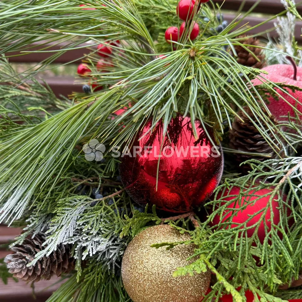 ���������� ���������� 492