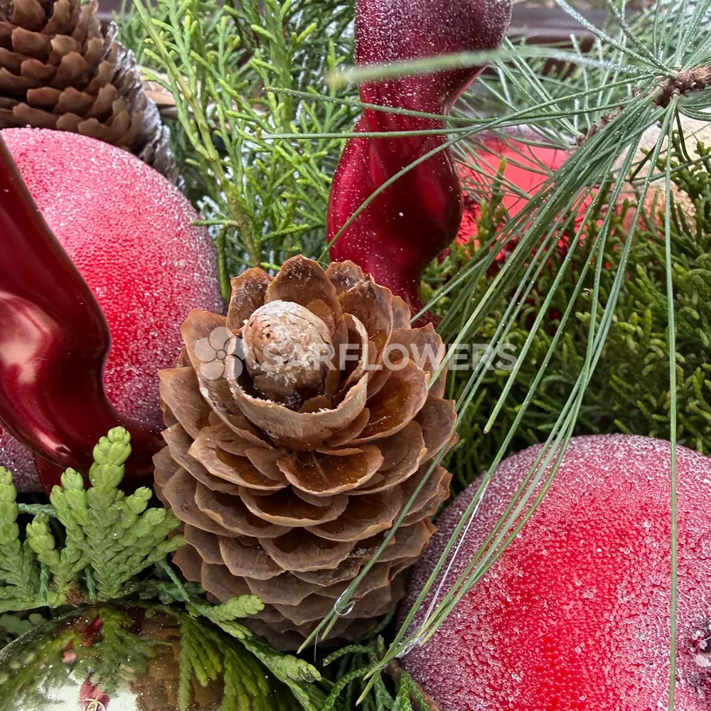 ���������� ���������� 492