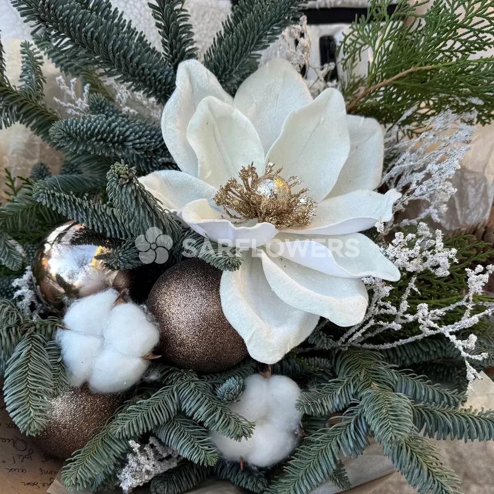 ������ ����� � �����