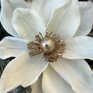 ������ ����� � �����