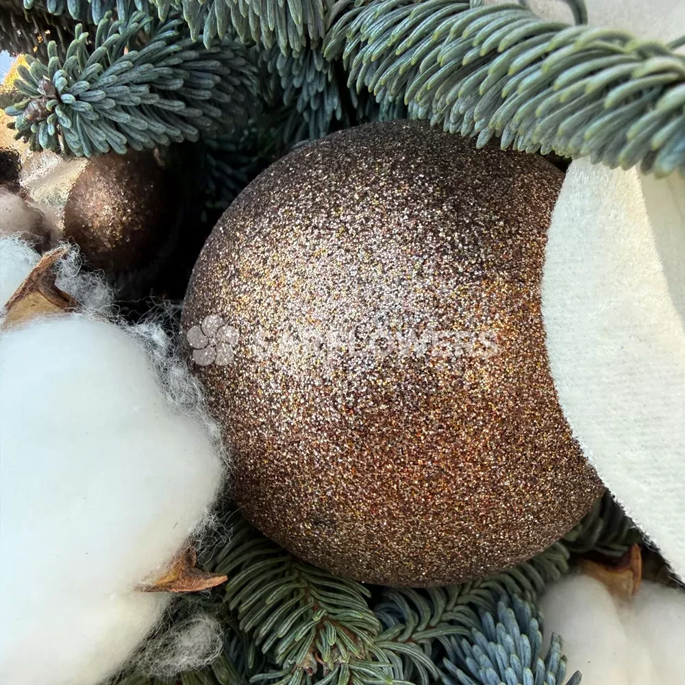 ������ ����� � �����