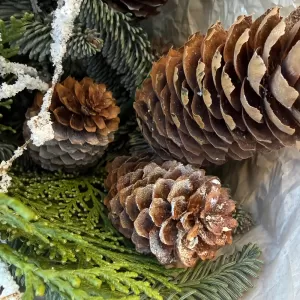 ������ ����� � �����