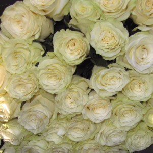 Букет белых роз 'Мондиаль'