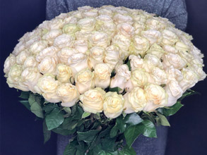 Настоящие большие букеты из 101 эквадорской розы