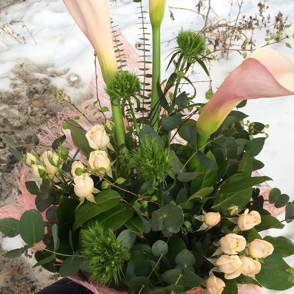 Диантус Грин Тик