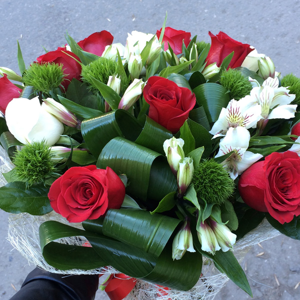 Диантус Грин Тик