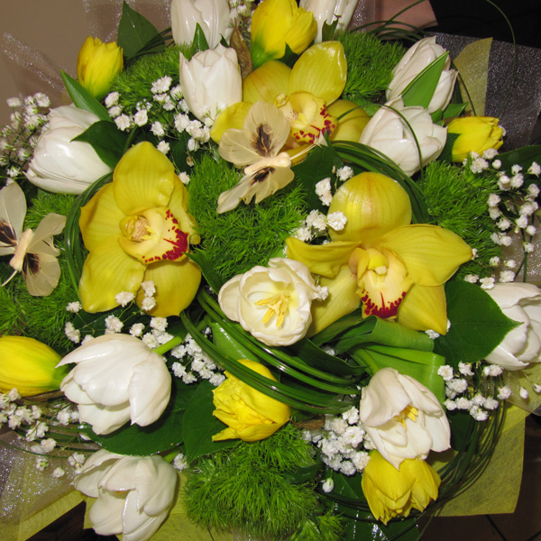 Диантус Грин Тик