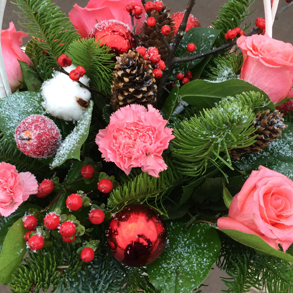 Коралловые гвоздики